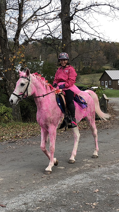 Pink horse