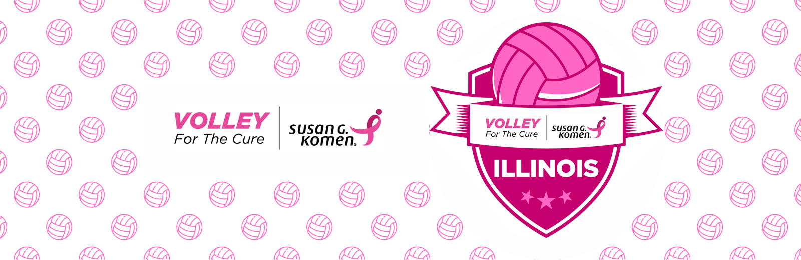 Illinois Volley for the Cure