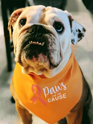 T-Shirts and Bandannas in the Office for Sale!